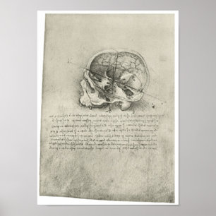 Interior View of the Skull, Leonardo da Vinci Poster