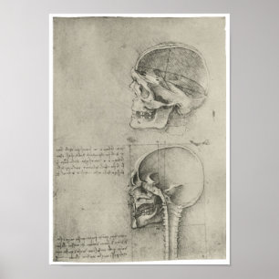 Interior View of the Skull, Leonardo da Vinci Poster