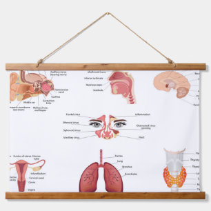 Internal human body organs Hanging Tapestry