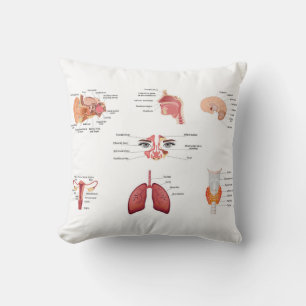 Internal human body organs Throw Pillow