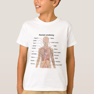 Internal Organs Human Body Anatomy Chart Boy T-Shirt