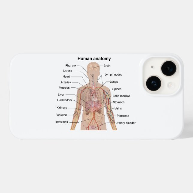 Internal Organs Human Body Anatomy Chart Case-Mate iPhone Case (Back (Horizontal))