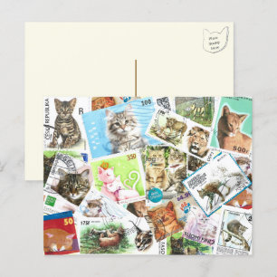 International Cat Postage Stamp Postcard