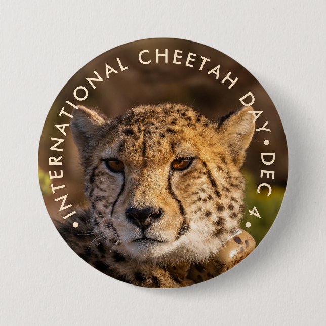 International Cheetah Day 3 Inch Round Button (Front)