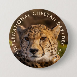 International Cheetah Day 3 Inch Round Button