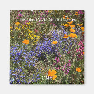 International Day for Biological Diversity Magnet