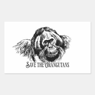 International Orangutan Day Sticker