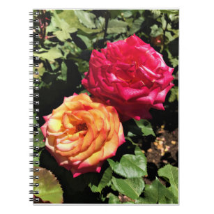 International Rose Test Garden, Portland, Oregon Notebook