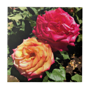 International Rose Test Garden, Portland, Oregon Tile