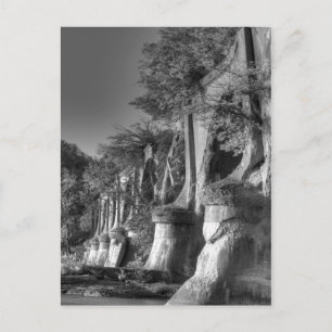 Interurban Bridge Postcard