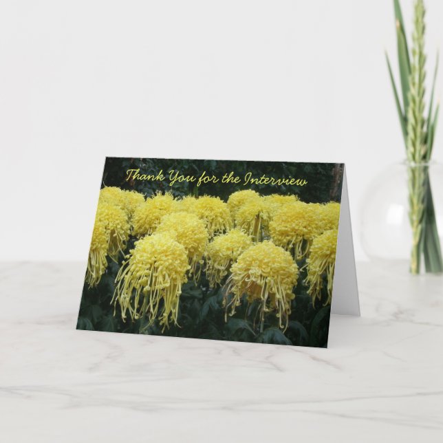 Interview Merci (Devant)