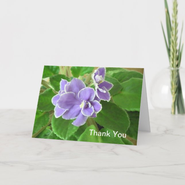 Interview Merci (Devant)