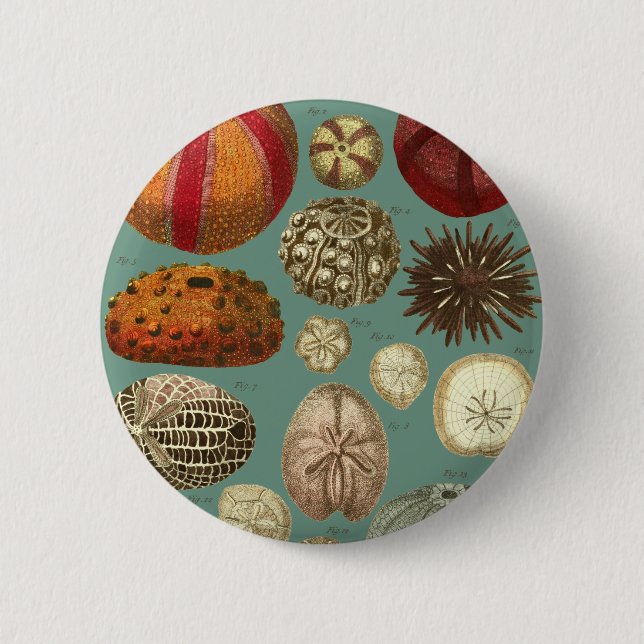 Intestina et Mollusca Linnaei 2 Inch Round Button (Front)