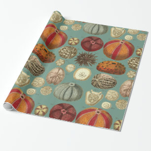 Intestina et Mollusca Linnaei Wrapping Paper