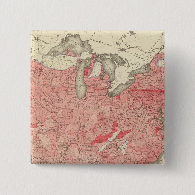 Intestinal Diseases Deaths in the US 2 Inch Square Button (Front)