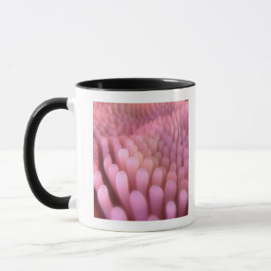 Intestinal Villi 2 Mug