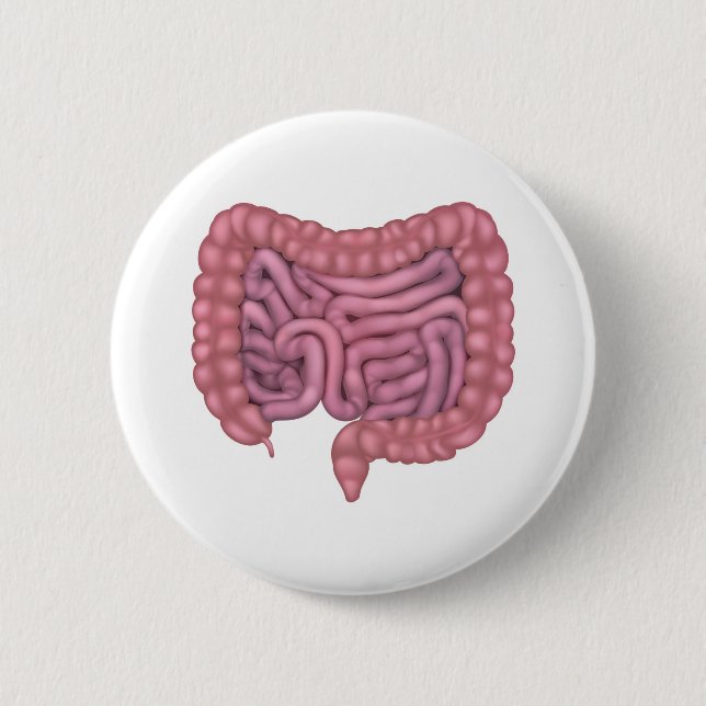 Intestines Gut Human Digestive System 2 Inch Round Button (Front)