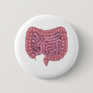 Intestines Gut Human Digestive System 2 Inch Round Button