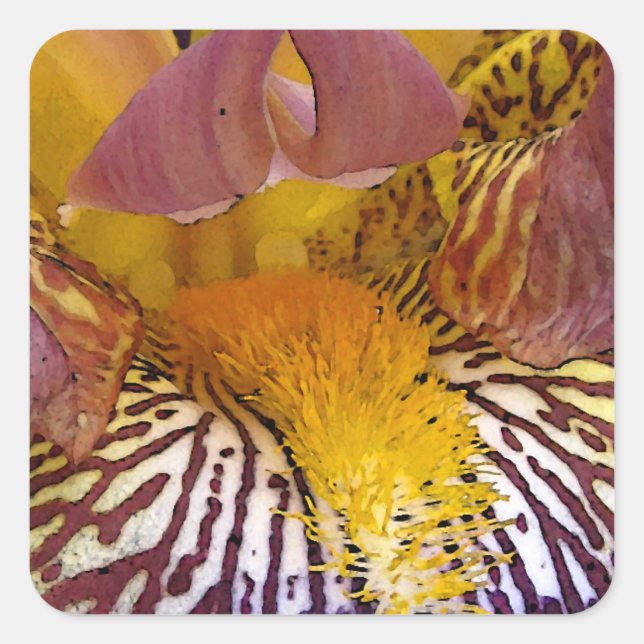 Intimate Iris Square Sticker (Front)