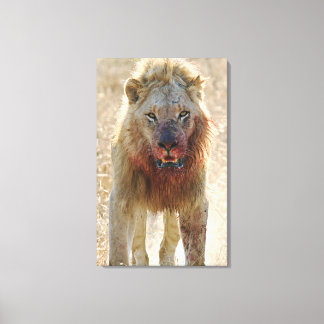 Intimidation Canvas Print