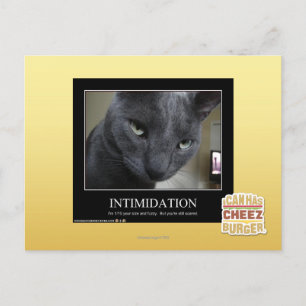 Intimidation Postcard