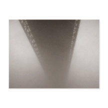 Into the fog
