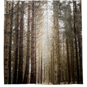 INTO THE FOREST
