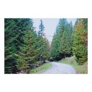 Into the Forest Heart - Wild Nature Romania Poster