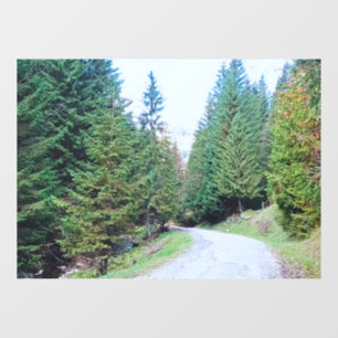 Into the Forest Heart - Wild Nature Romania Window Cling