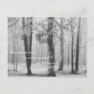 Into the Forest I Go - Carte postale