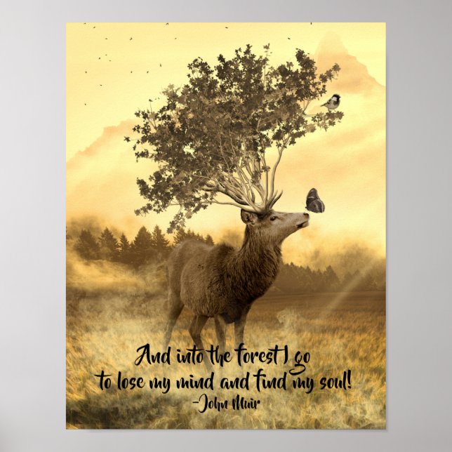 Into the Forest I Go, John Muir Nature Quote Poster (Front)
