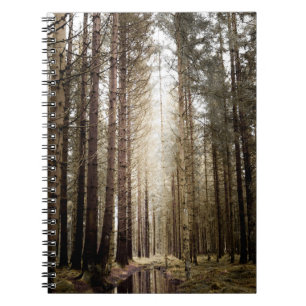 INTO THE FOREST NOTEBOOK