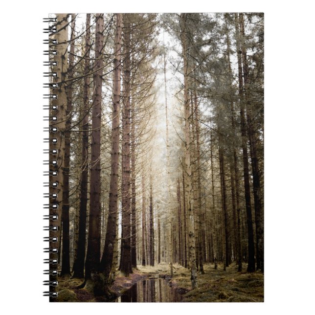 INTO THE FOREST NOTEBOOK (Front)