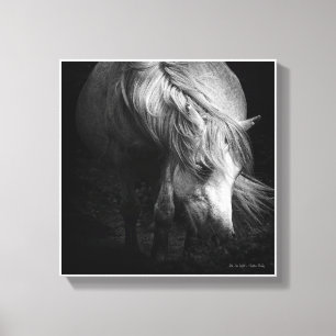 Into the Light - Dartmoor Pony SMALL Canvas Print