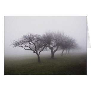 Into The Mist