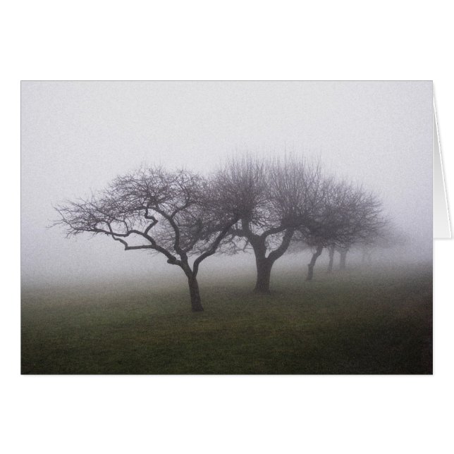 Into The Mist (Front Horizontal)