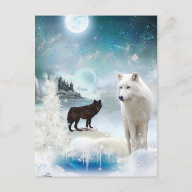 Into The Mystic Wild Postcard (Front)