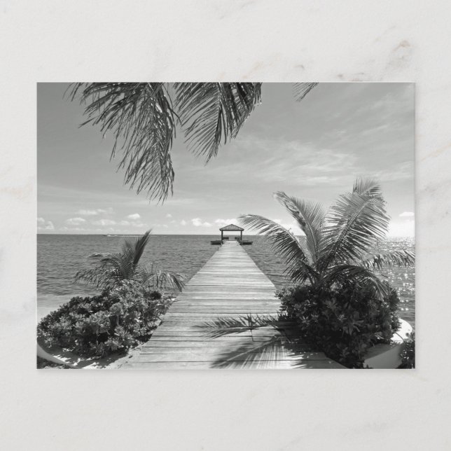 Into the Ocean Postcard (Front)