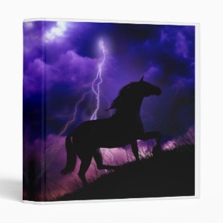 Into the Storm Binder