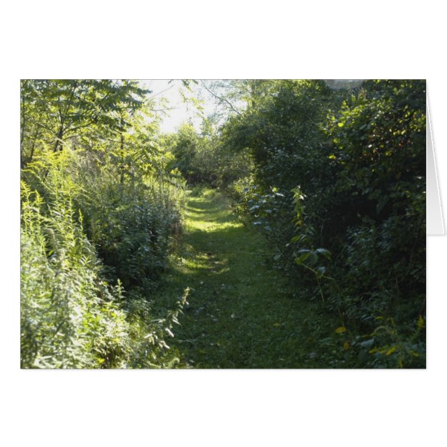 Into the Woods (Front Horizontal)