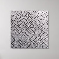 Intricate Black & White Labyrinth Maze