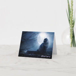 Intriguing Siberian Cat at Nighttime Card