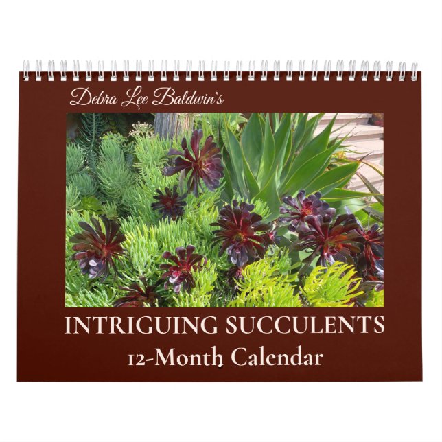 Intriguing Succulents by Debra Lee Baldwin 12-mo. Calendar (Cover)