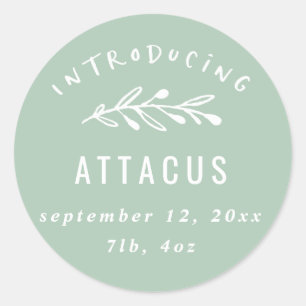 Introducing branch birth announcement classic round sticker