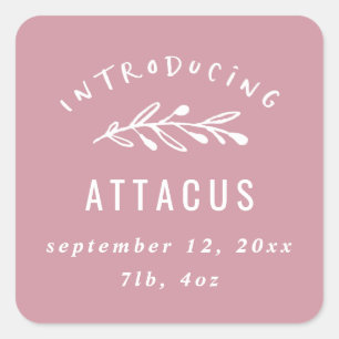 Introducing branch birth announcement square sticker