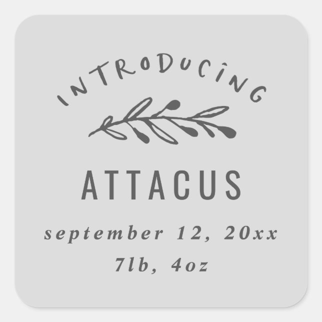 Introducing branch birth announcement square sticker (Front)