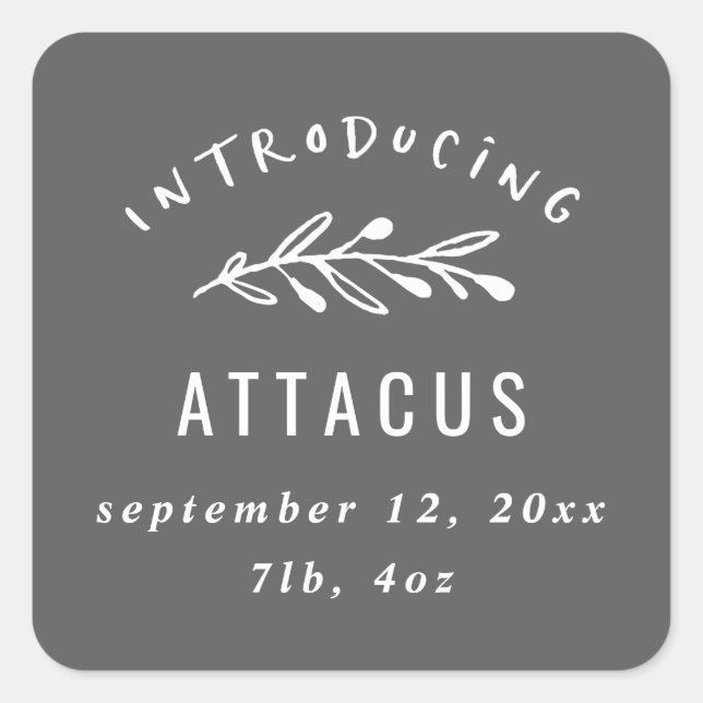 Introducing branch birth announcement square sticker (Front)