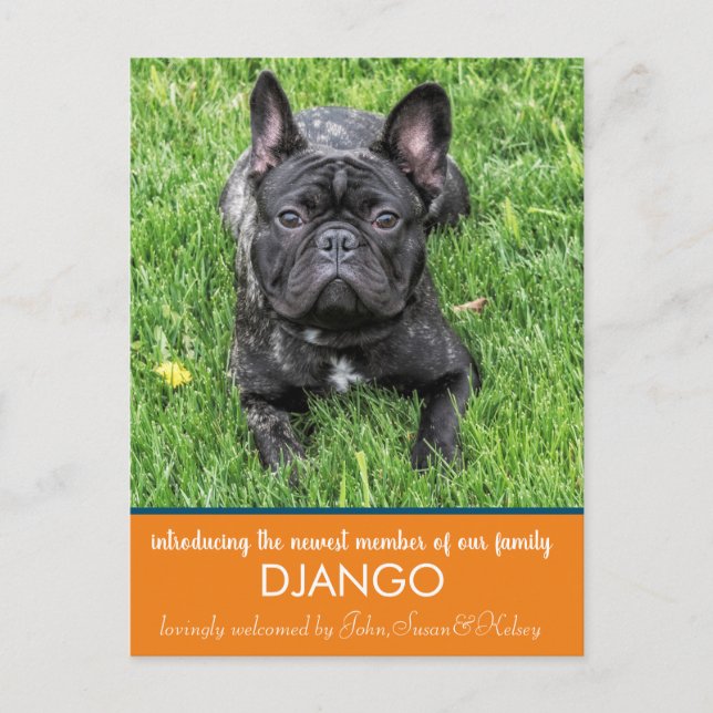 "Introducing" our New Dog Announcement Postcard (Front)