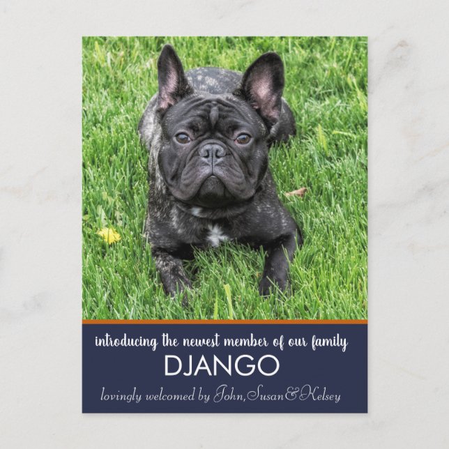 "Introducing" our New Dog Announcement Postcard (Front)