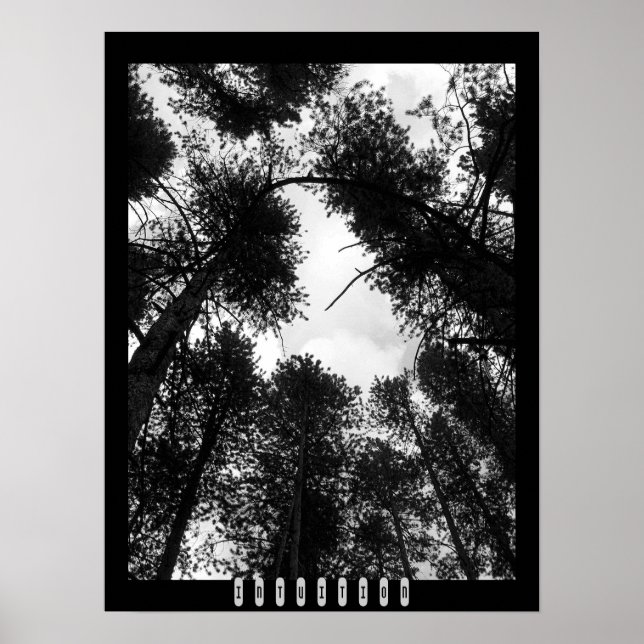 Intuition Poster (Front)